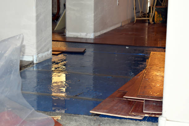 Professional Burst Pipe Cleanup technician working in Silver City, NM